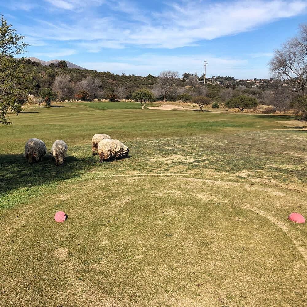 Pueblo Nativo Resort, Golf, Spa