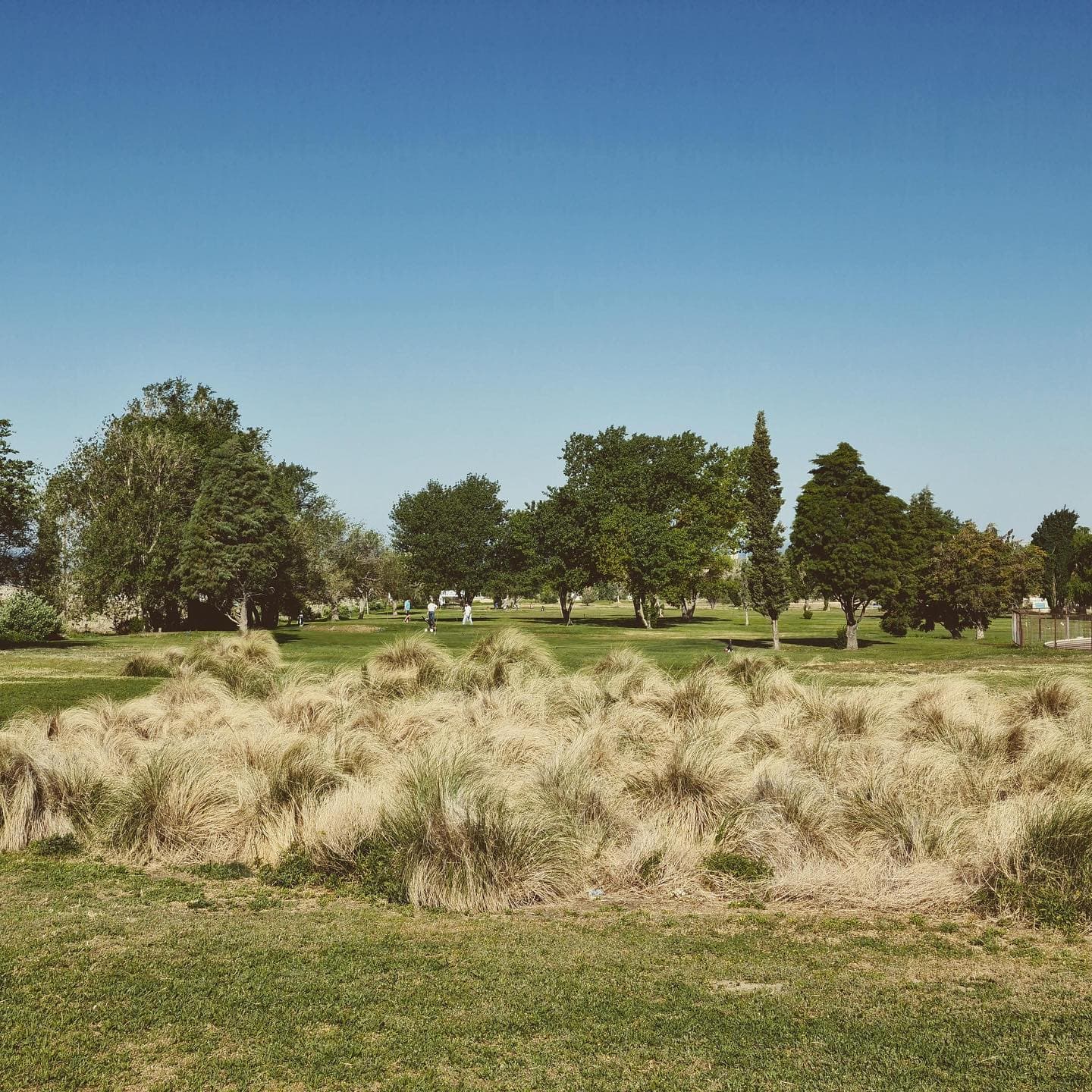 PUERTO MADRYN GOLF CLUB