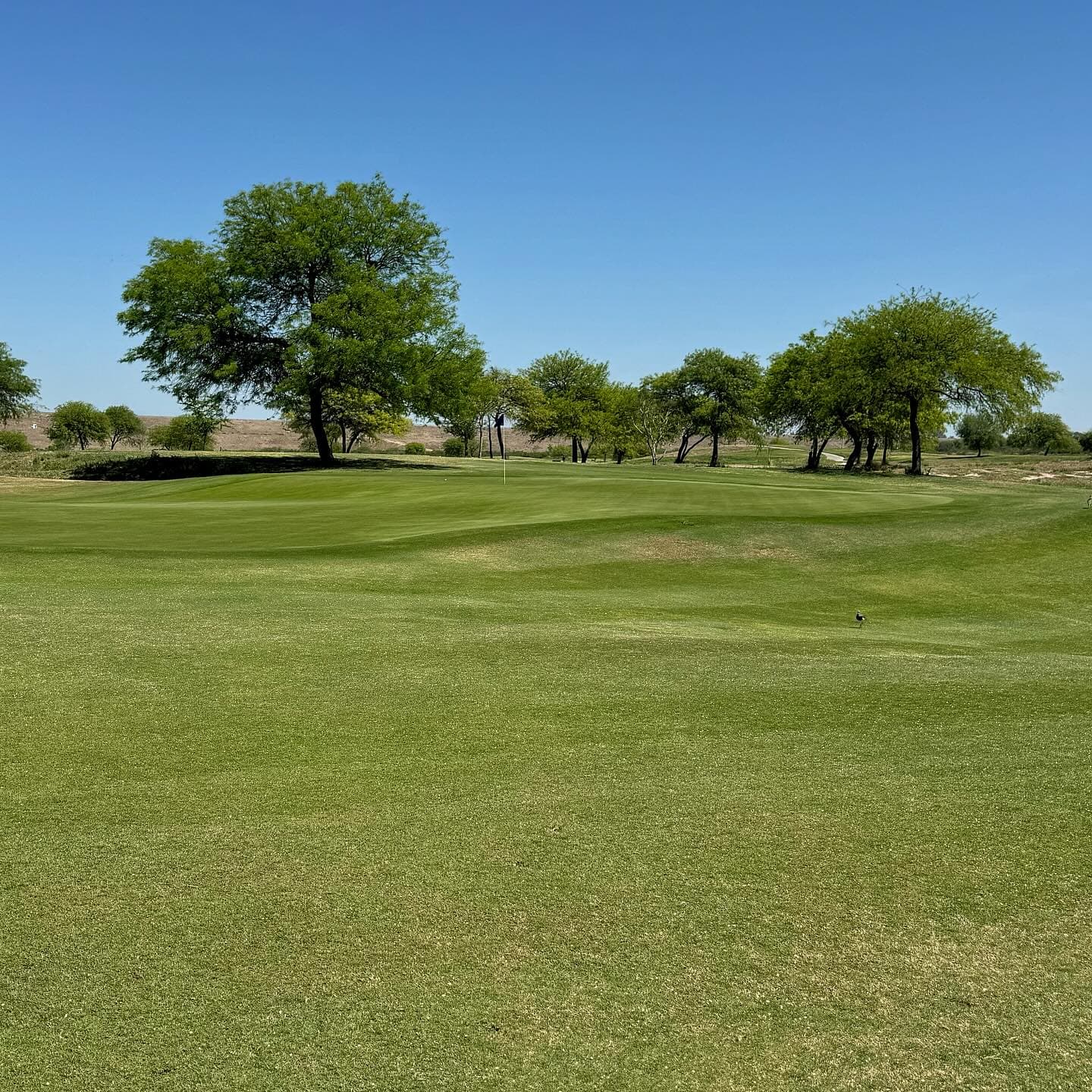RIO HONDO GOLF CLUB