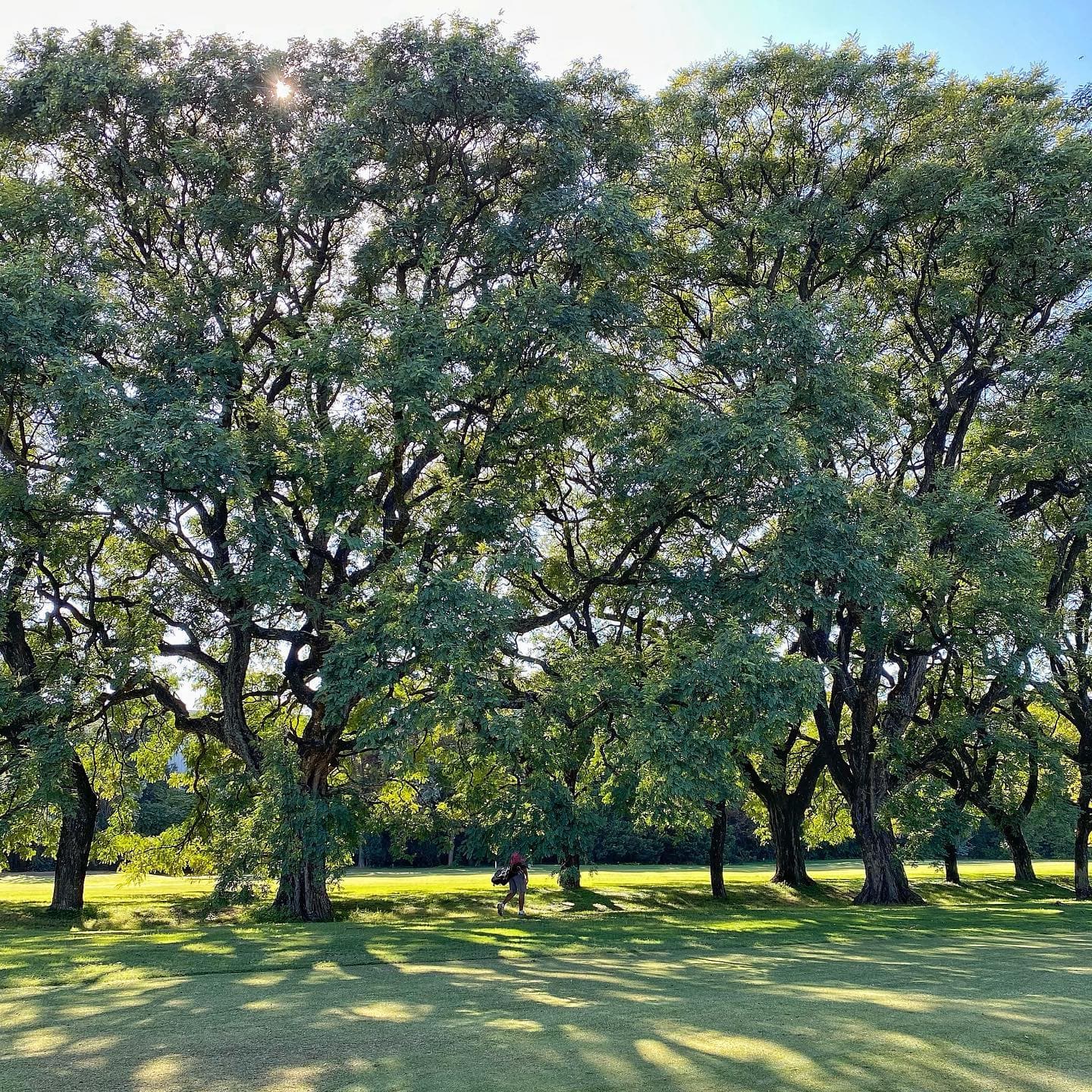 SAN ANDRES GOLF CLUB