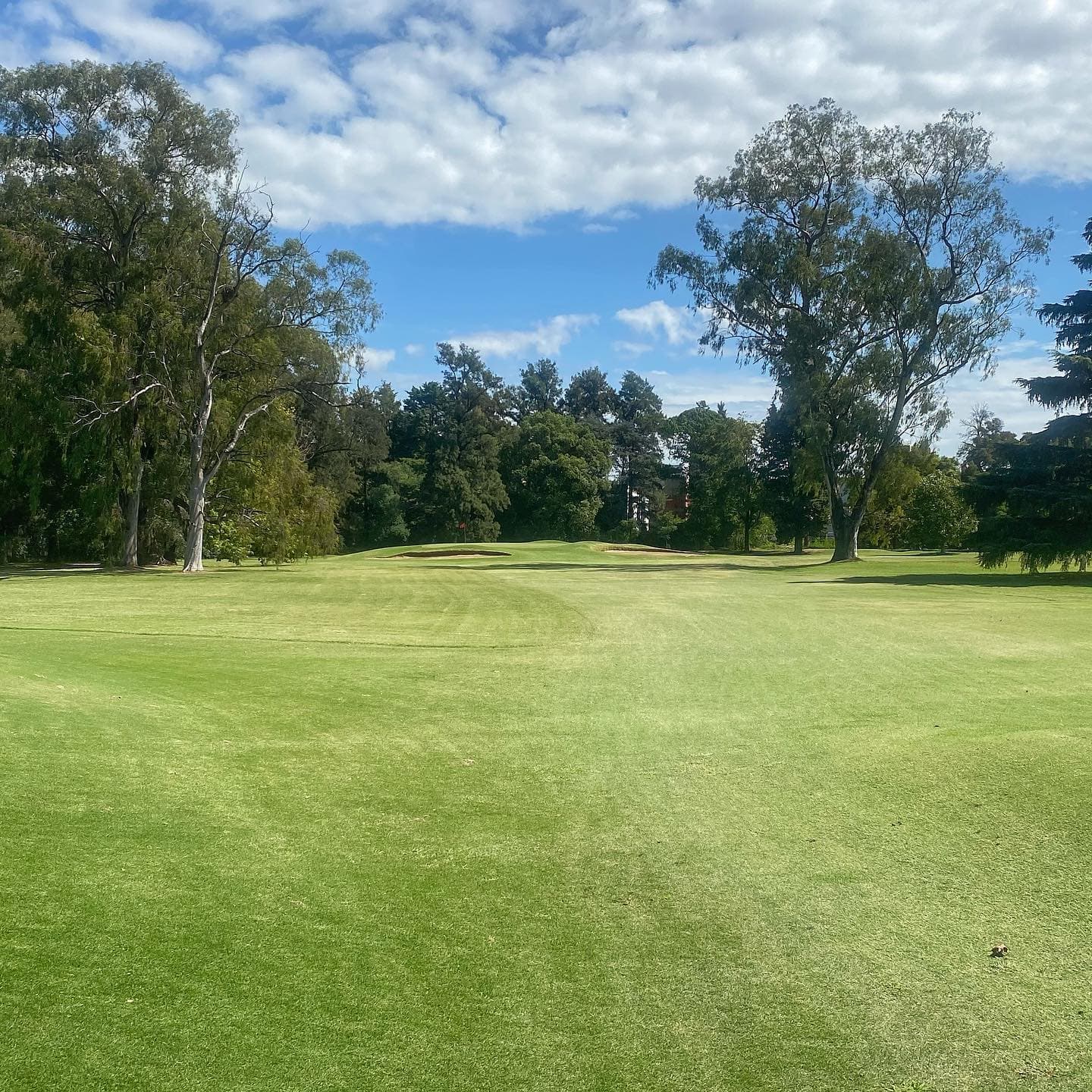 SAN ANDRES GOLF CLUB