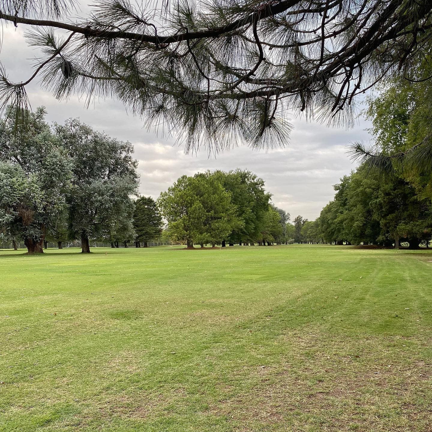 SAN DIEGO COUNTRY CLUB