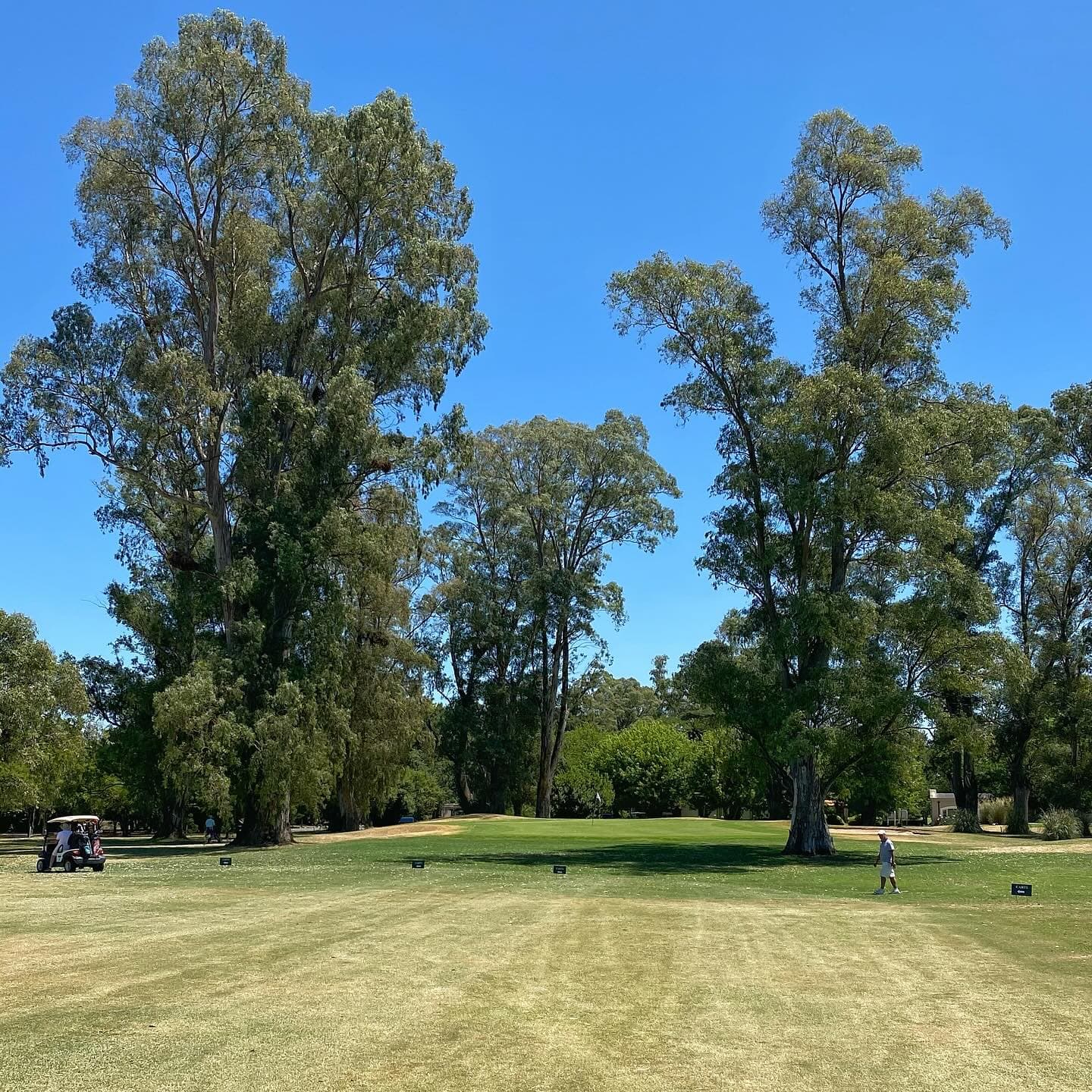 SAN ELISEO GOLF & COUNTRY CLUB