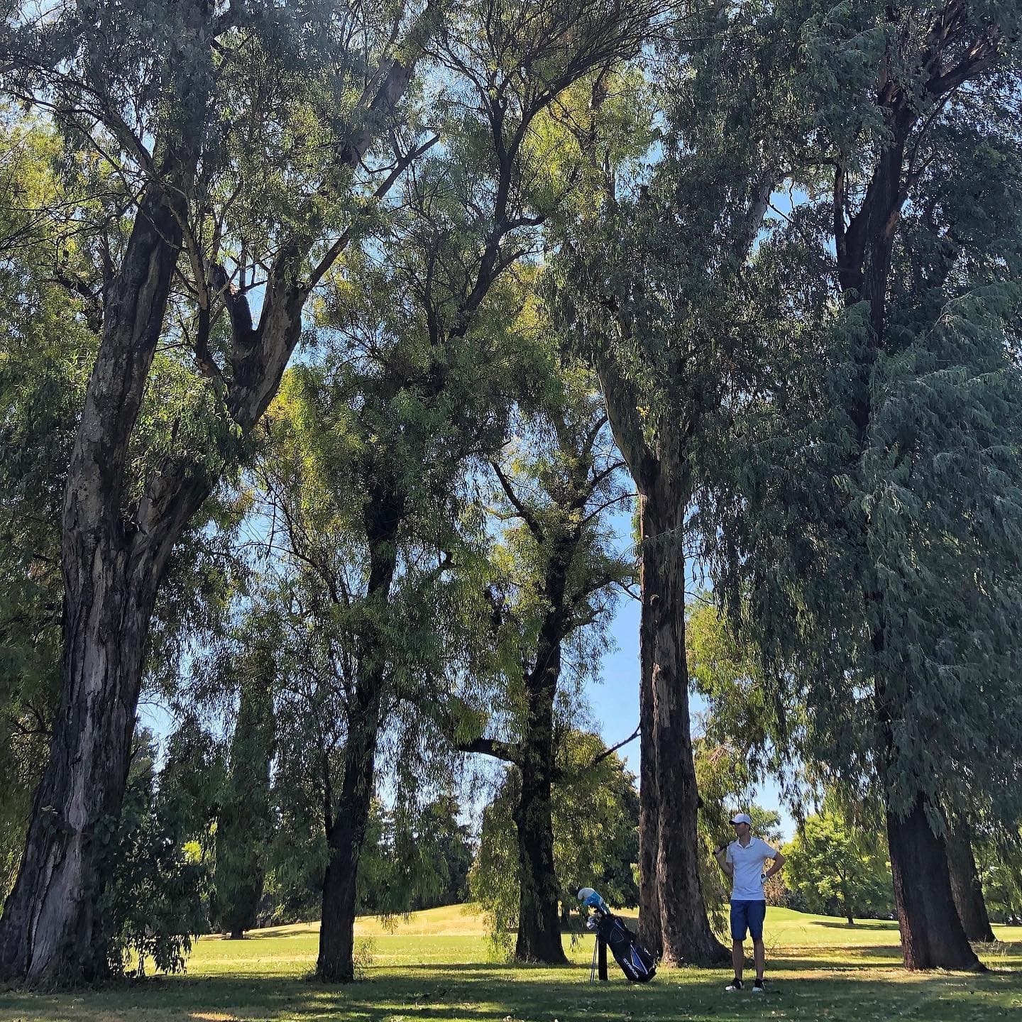 SAN ISIDRO GOLF CLUB