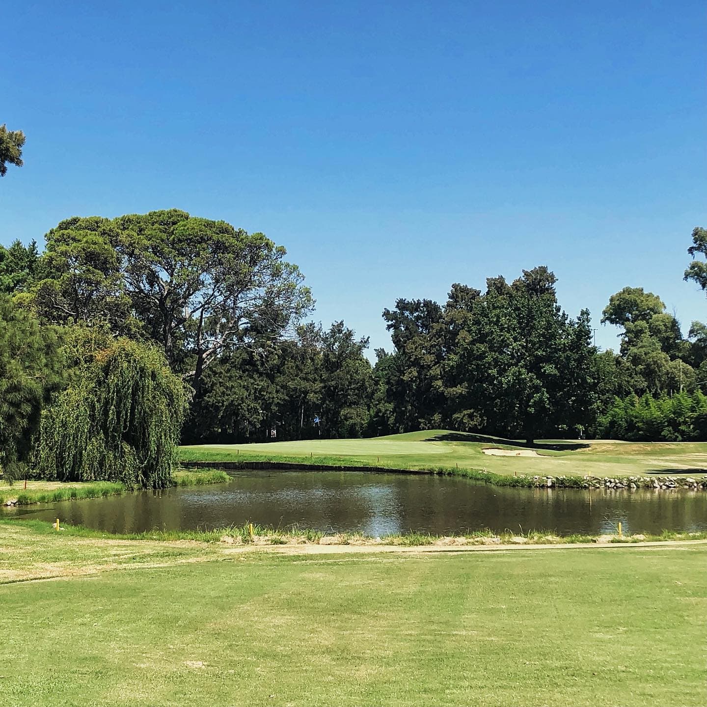 SAN ISIDRO GOLF CLUB