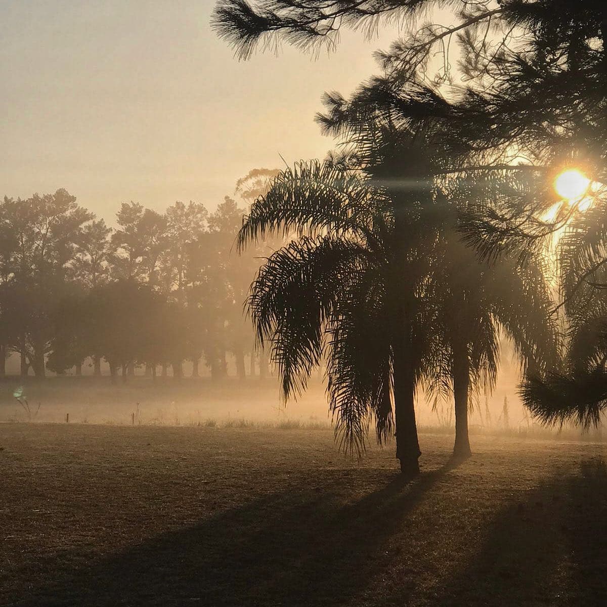 San Jerónimo del Rey Golf Club