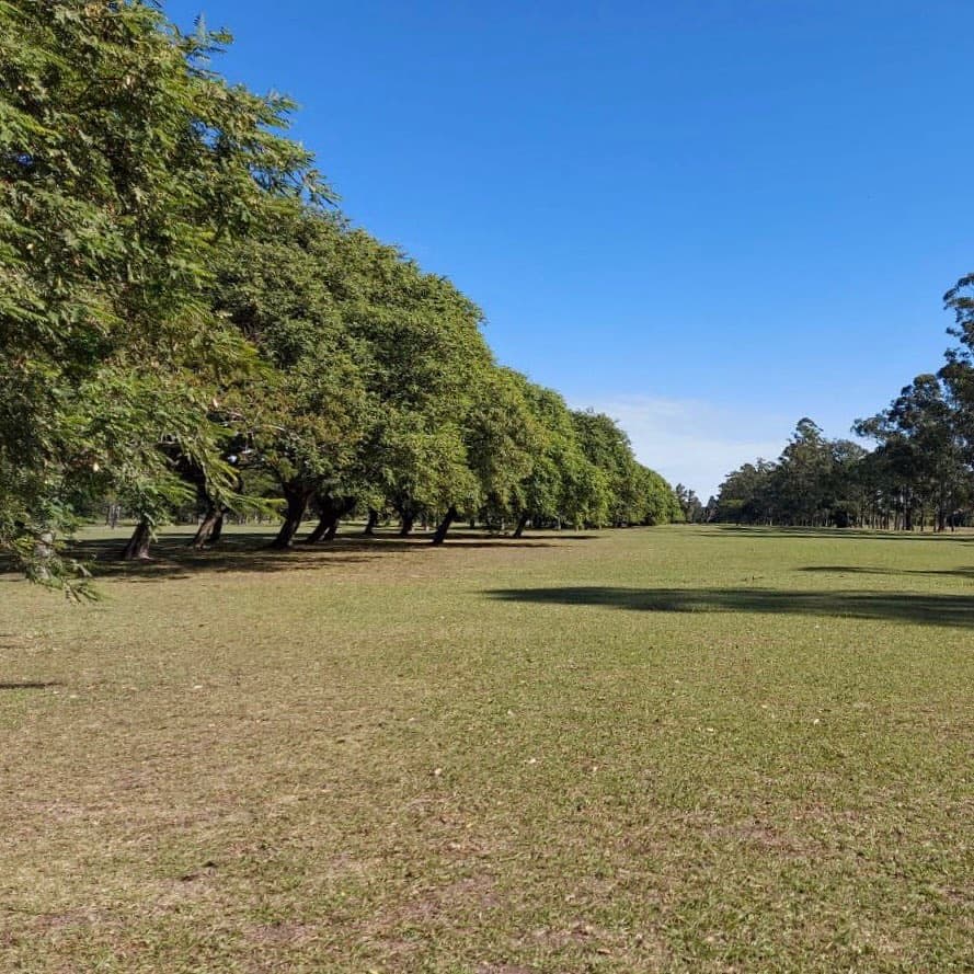 San Jerónimo del Rey Golf Club