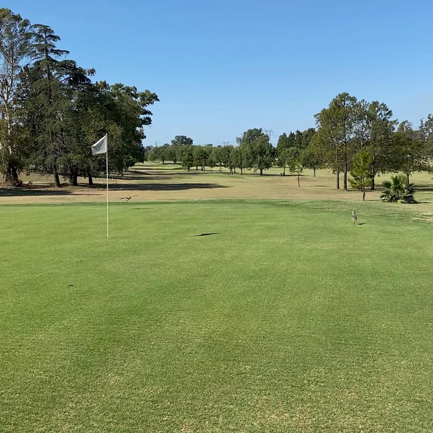 SAN NICOLAS GOLF CLUB