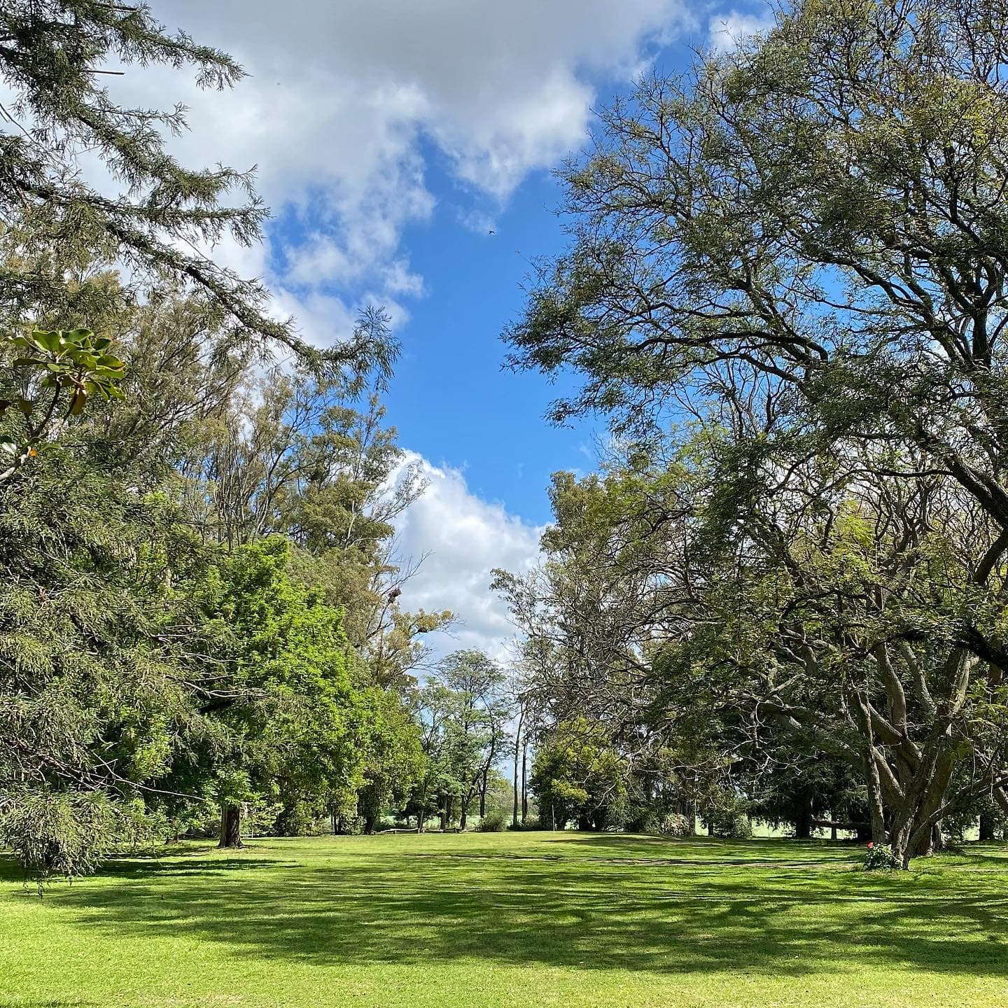 SANTA MARGARITA GOLF CLUB
