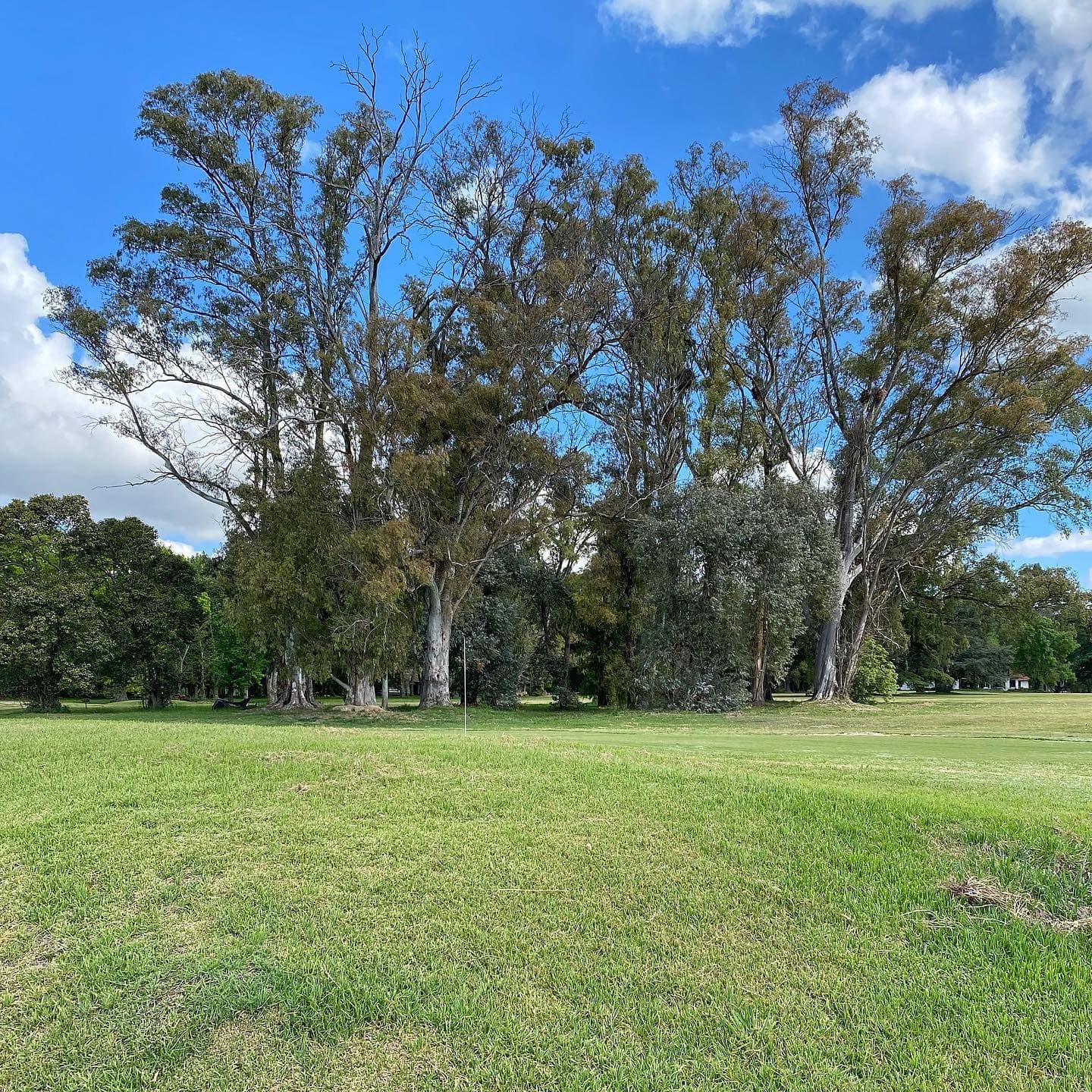 SANTA MARGARITA GOLF CLUB