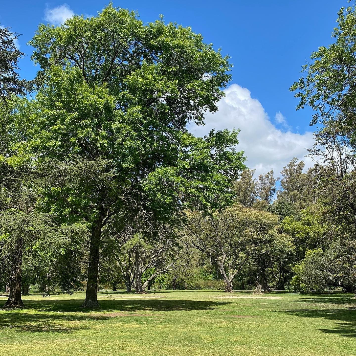 SANTA MARGARITA GOLF CLUB