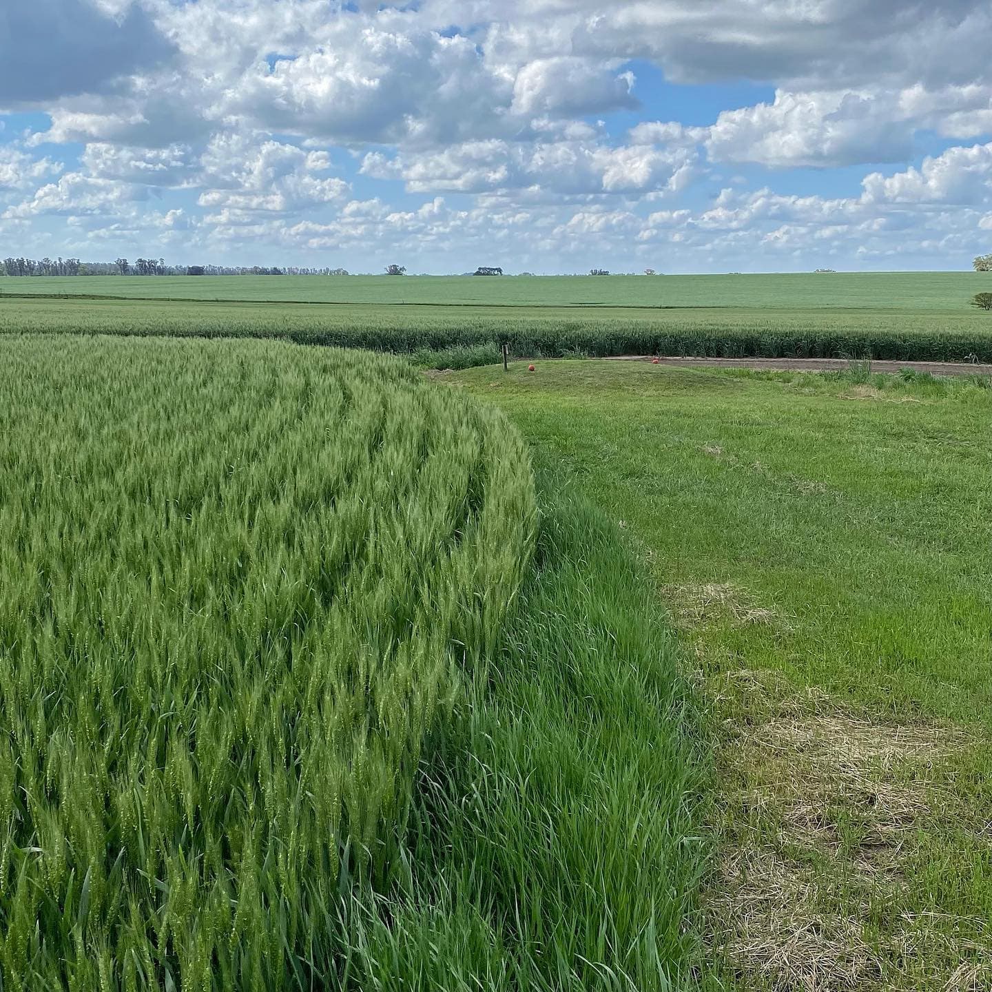 SANTA MARGARITA GOLF CLUB