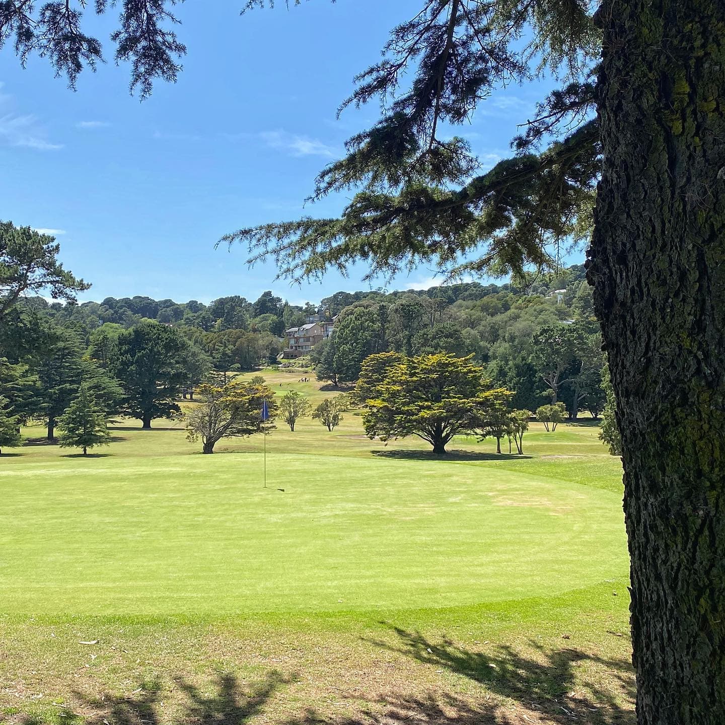 SIERRA DE LOS PADRES GOLF CLUB