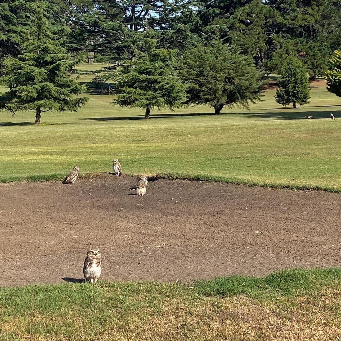 SIERRA DE LOS PADRES GOLF CLUB