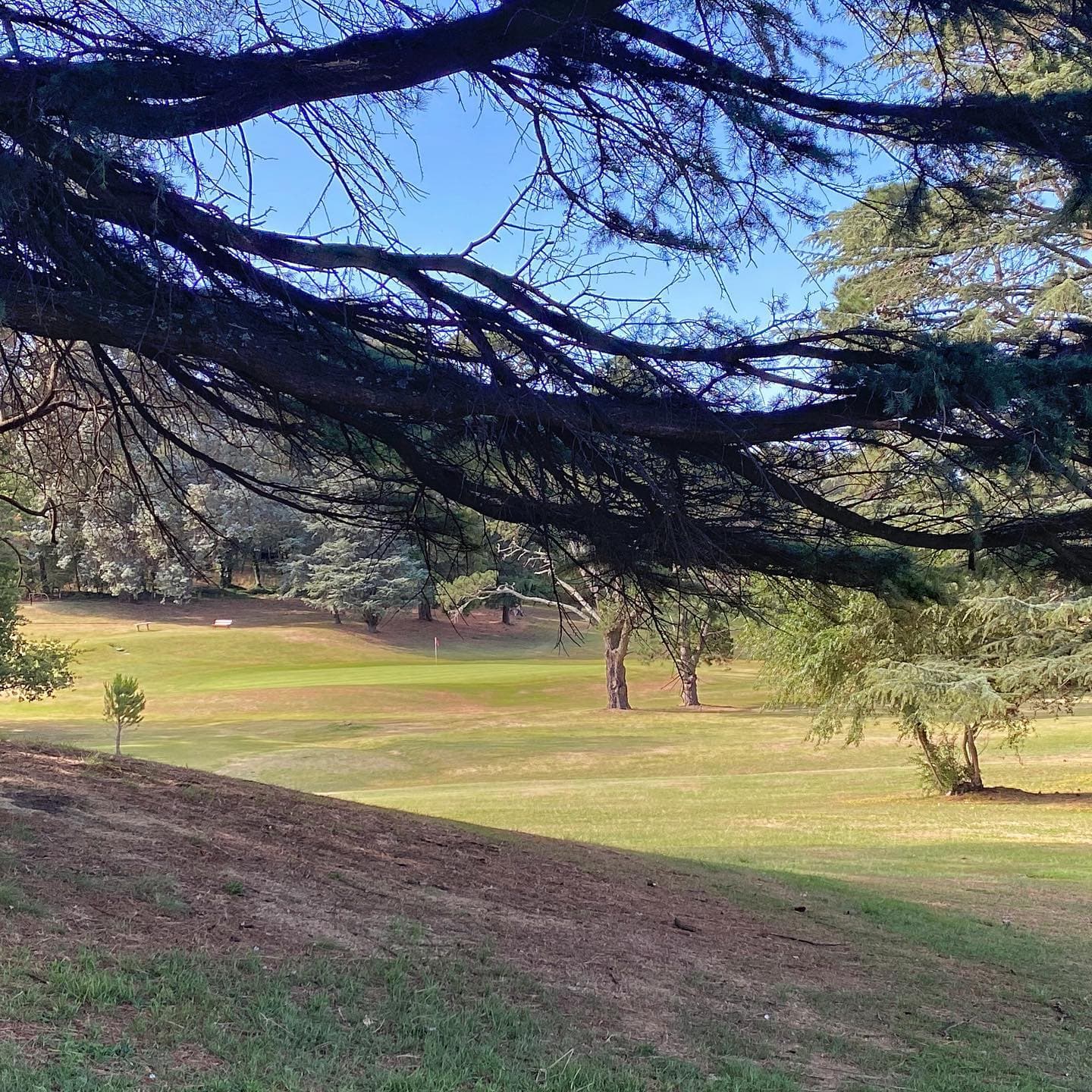 SIERRA DE LOS PADRES GOLF CLUB