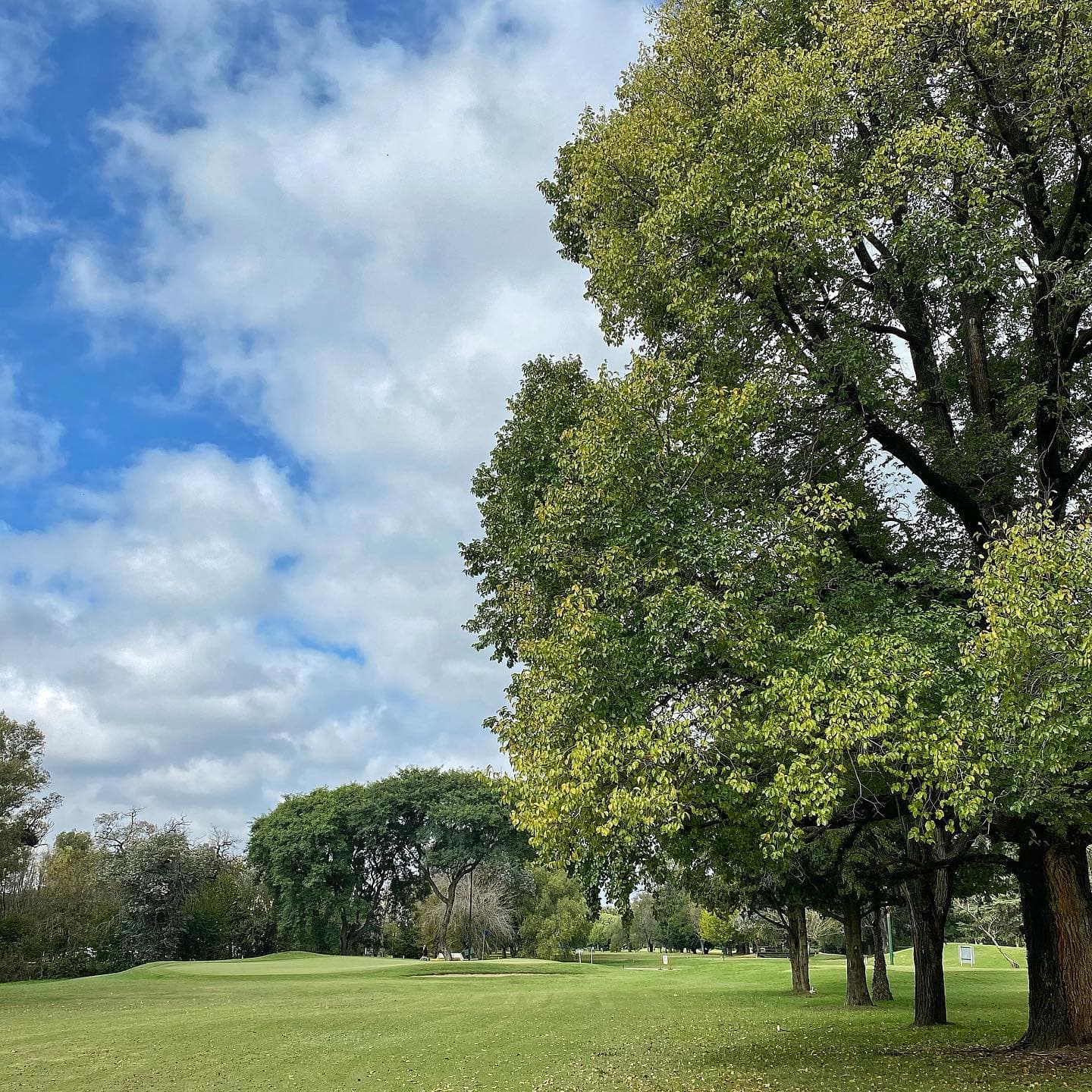 SOCIEDAD HEBRAICA ARGENTINA