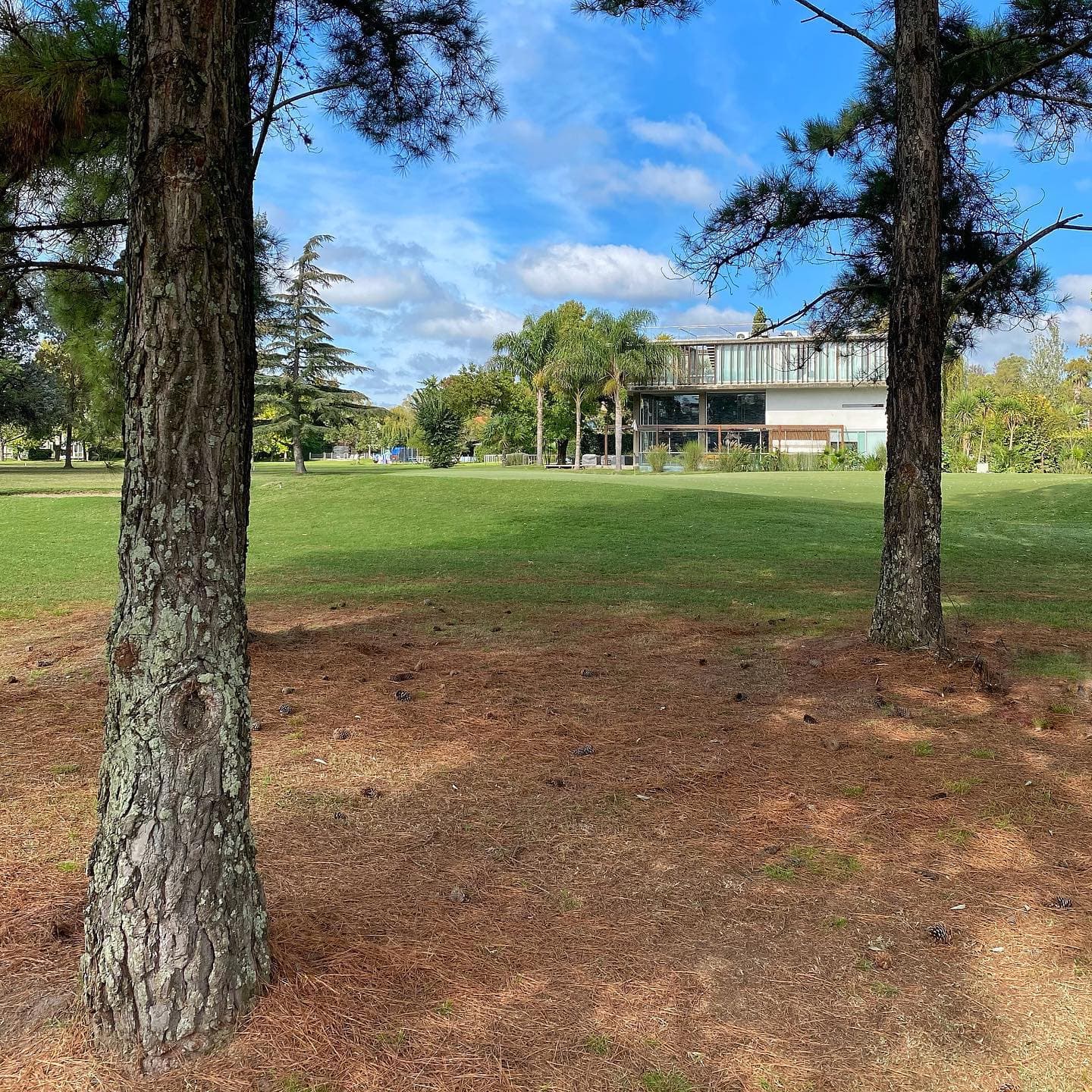 SOCIEDAD HEBRAICA ARGENTINA