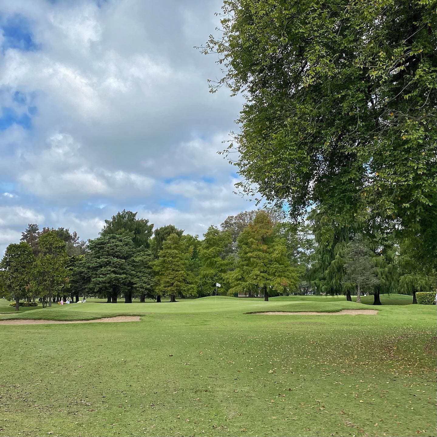 SOCIEDAD HEBRAICA ARGENTINA