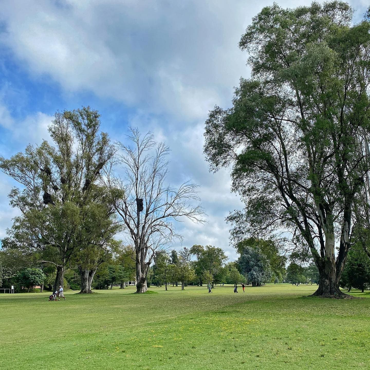 SOCIEDAD HEBRAICA ARGENTINA