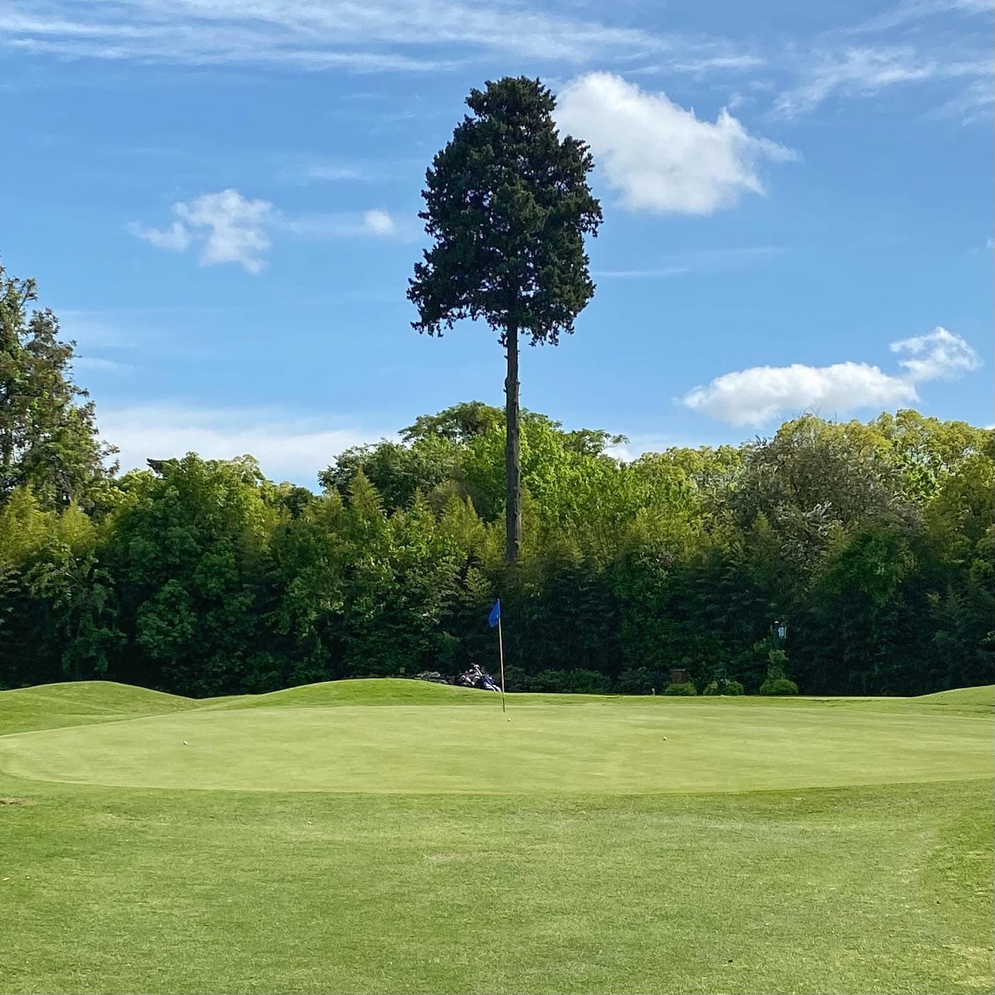 TORTUGAS COUNTRY CLUB