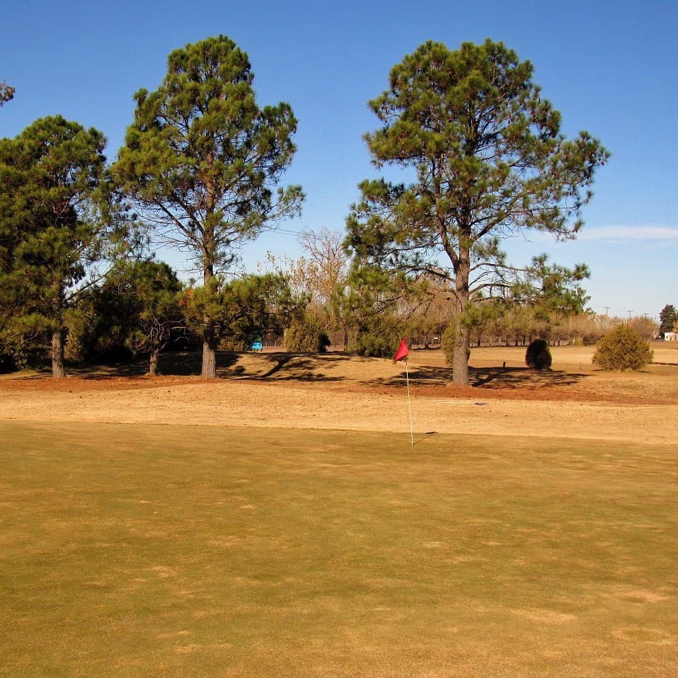 TRENQUE LAUQUEN POLO CLUB