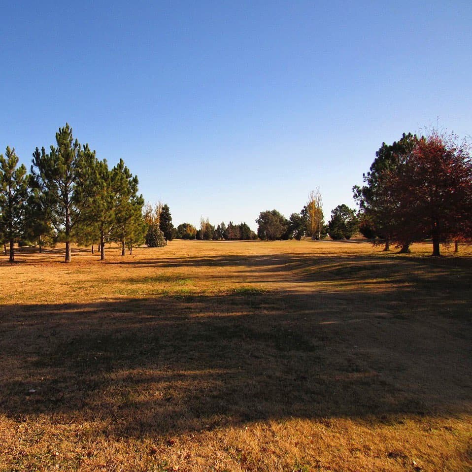 TRENQUE LAUQUEN POLO CLUB