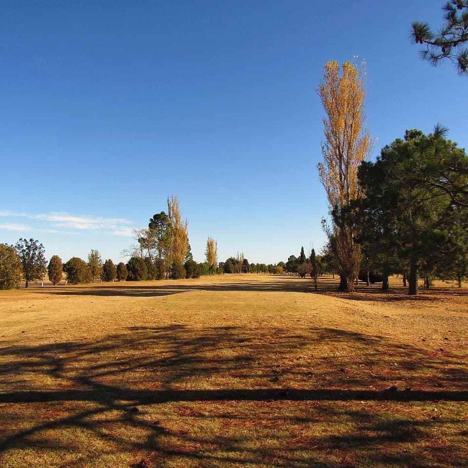 TRENQUE LAUQUEN POLO CLUB