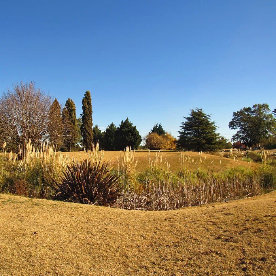 TRENQUE LAUQUEN POLO CLUB