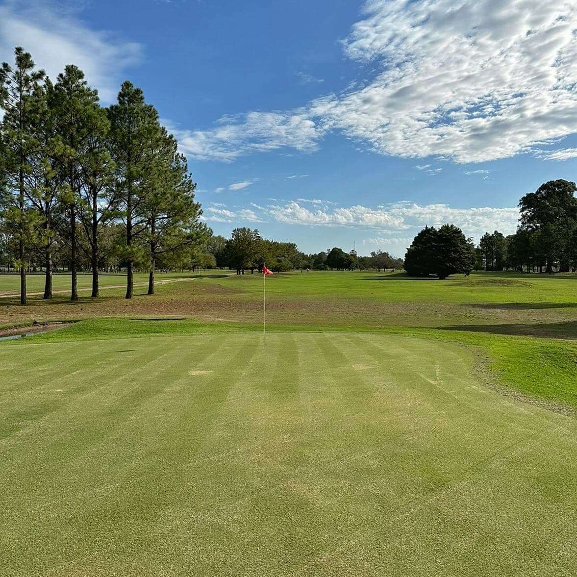 VENADO TUERTO POLO & ATHLETIC CLUB