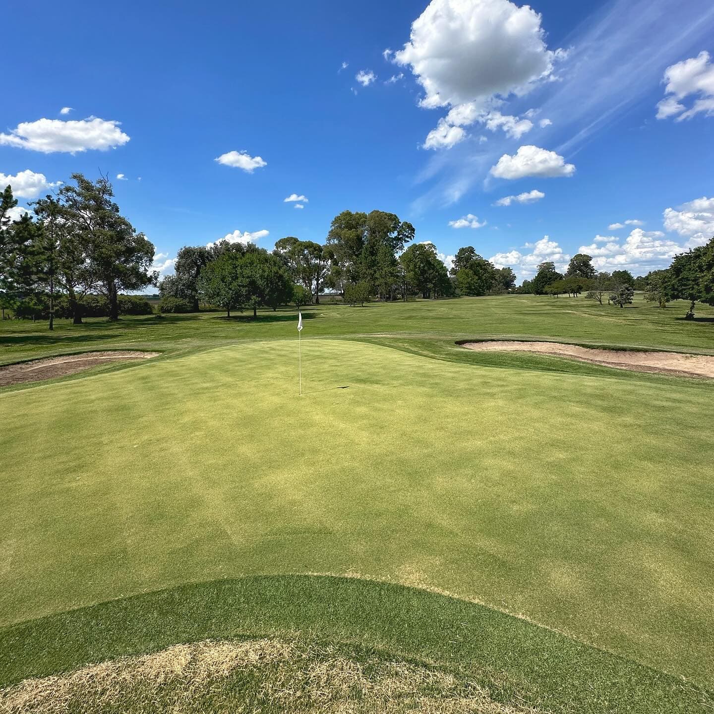 VENADO TUERTO POLO & ATHLETIC CLUB