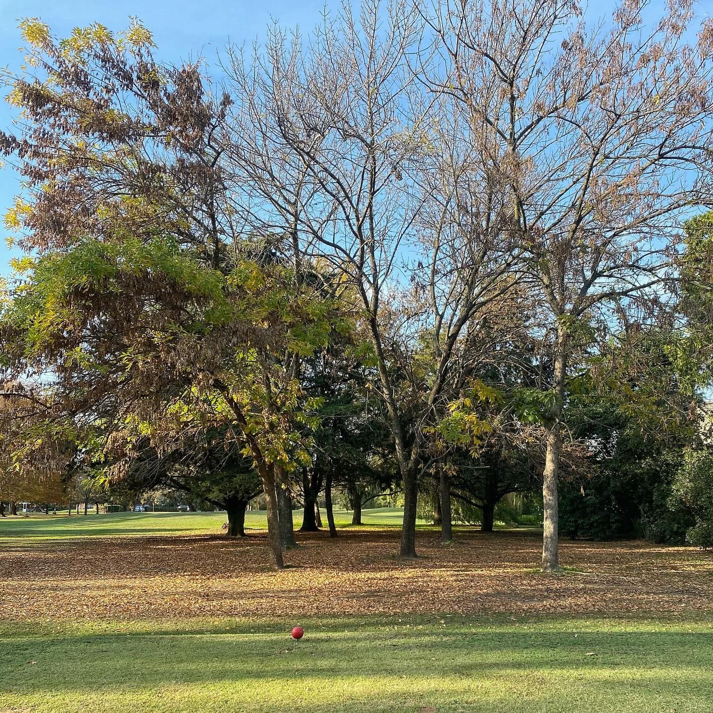 VILLAGE GOLF AND TENNIS CLUB