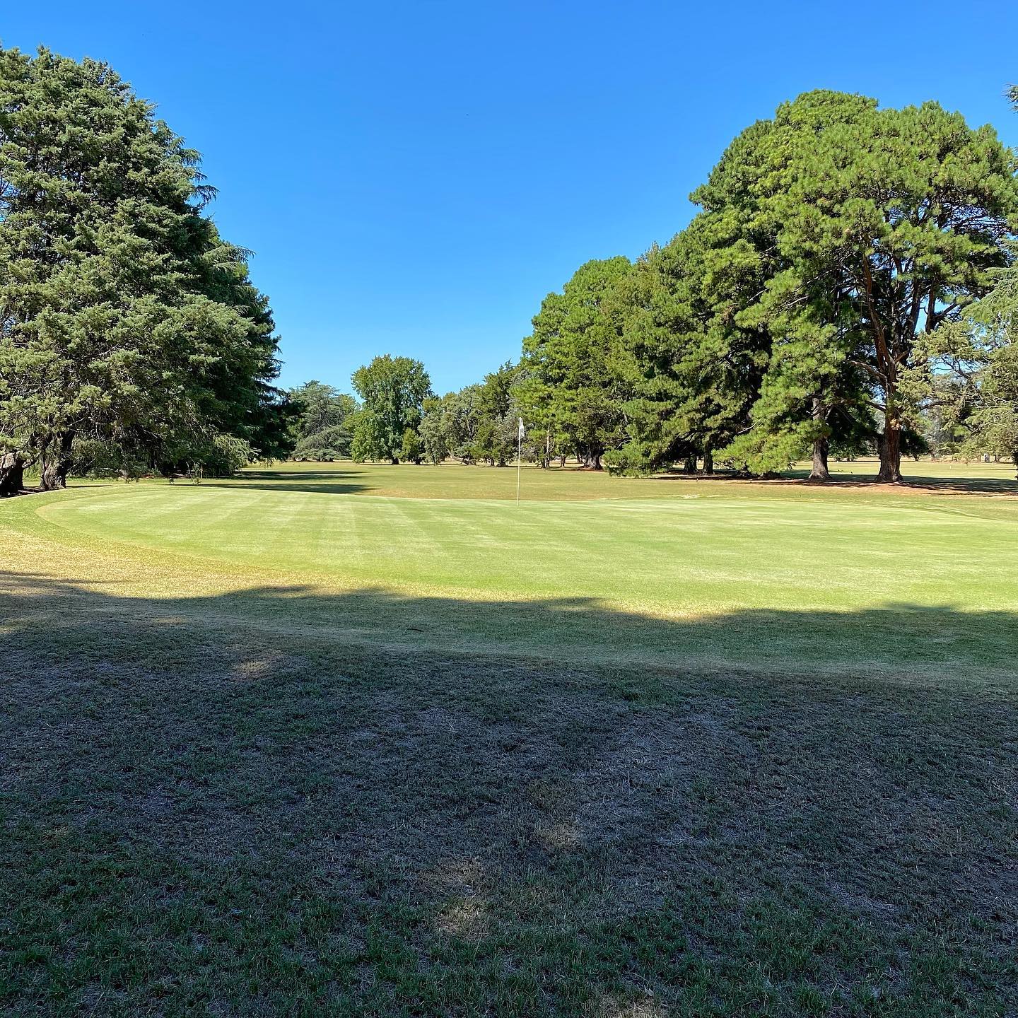 ARECO GOLF S.A.