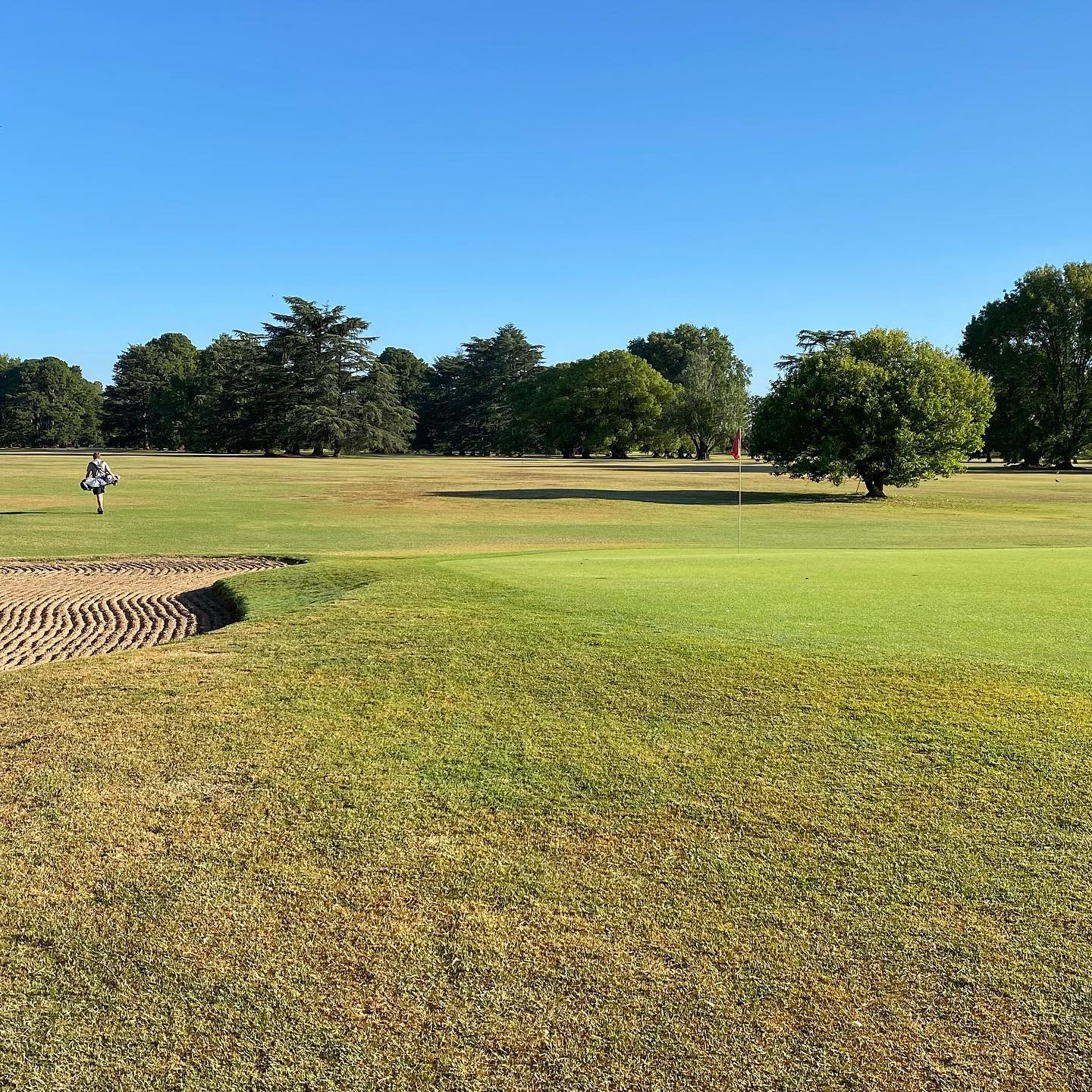 ARECO GOLF S.A.