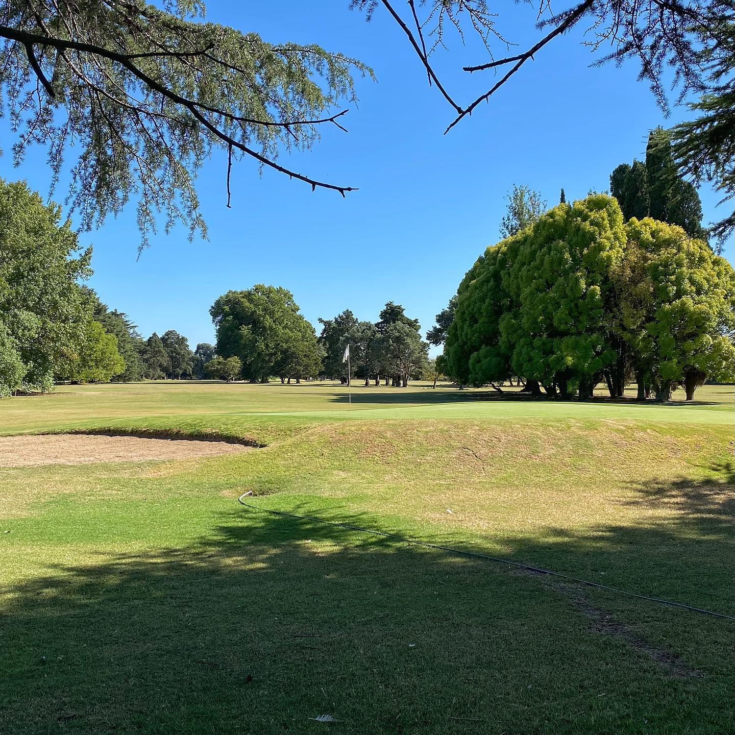 ARECO GOLF S.A.