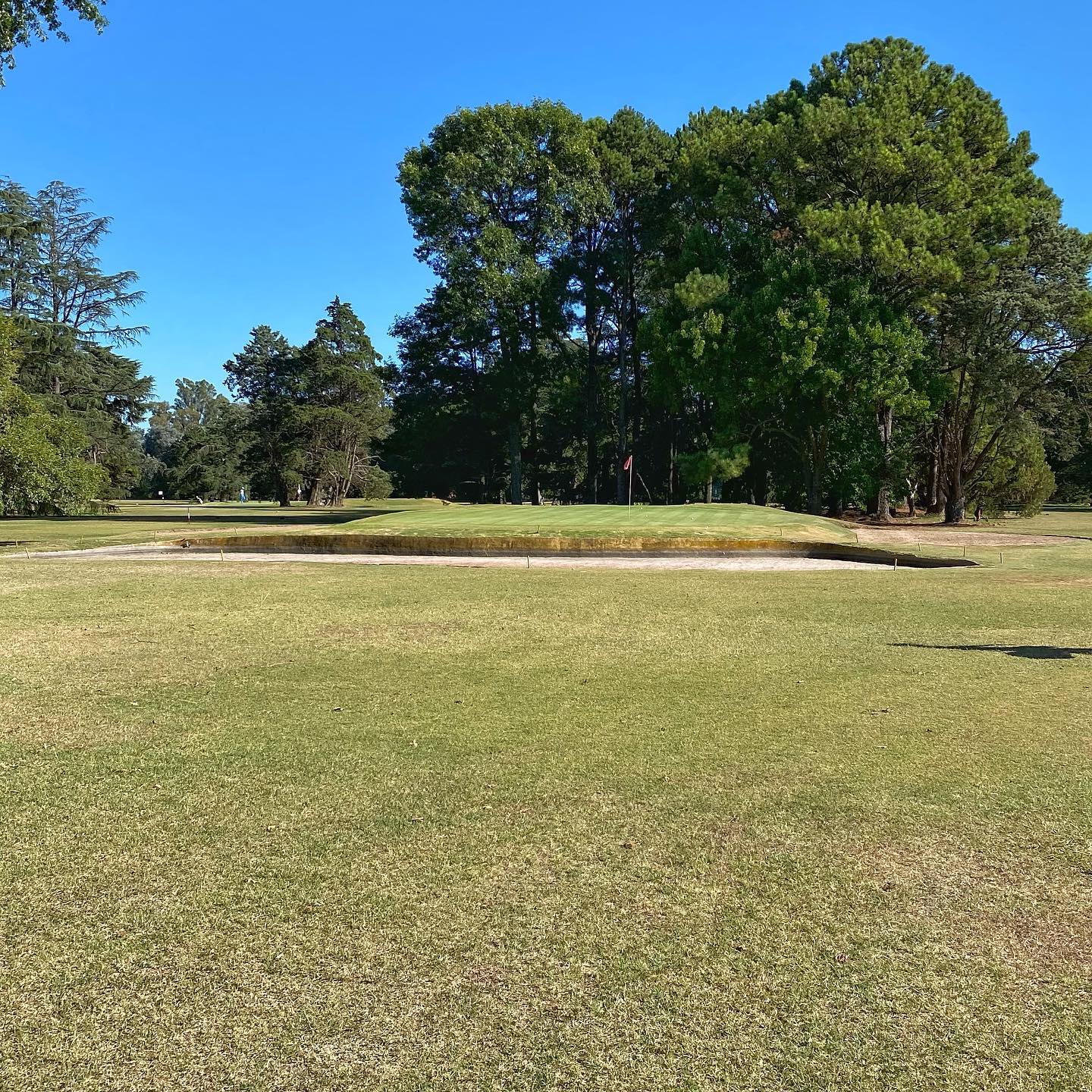 ARECO GOLF S.A.