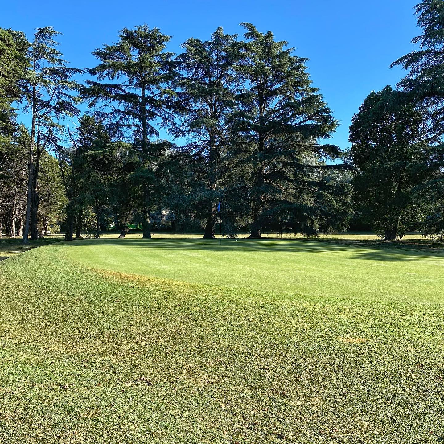 ARECO GOLF S.A.