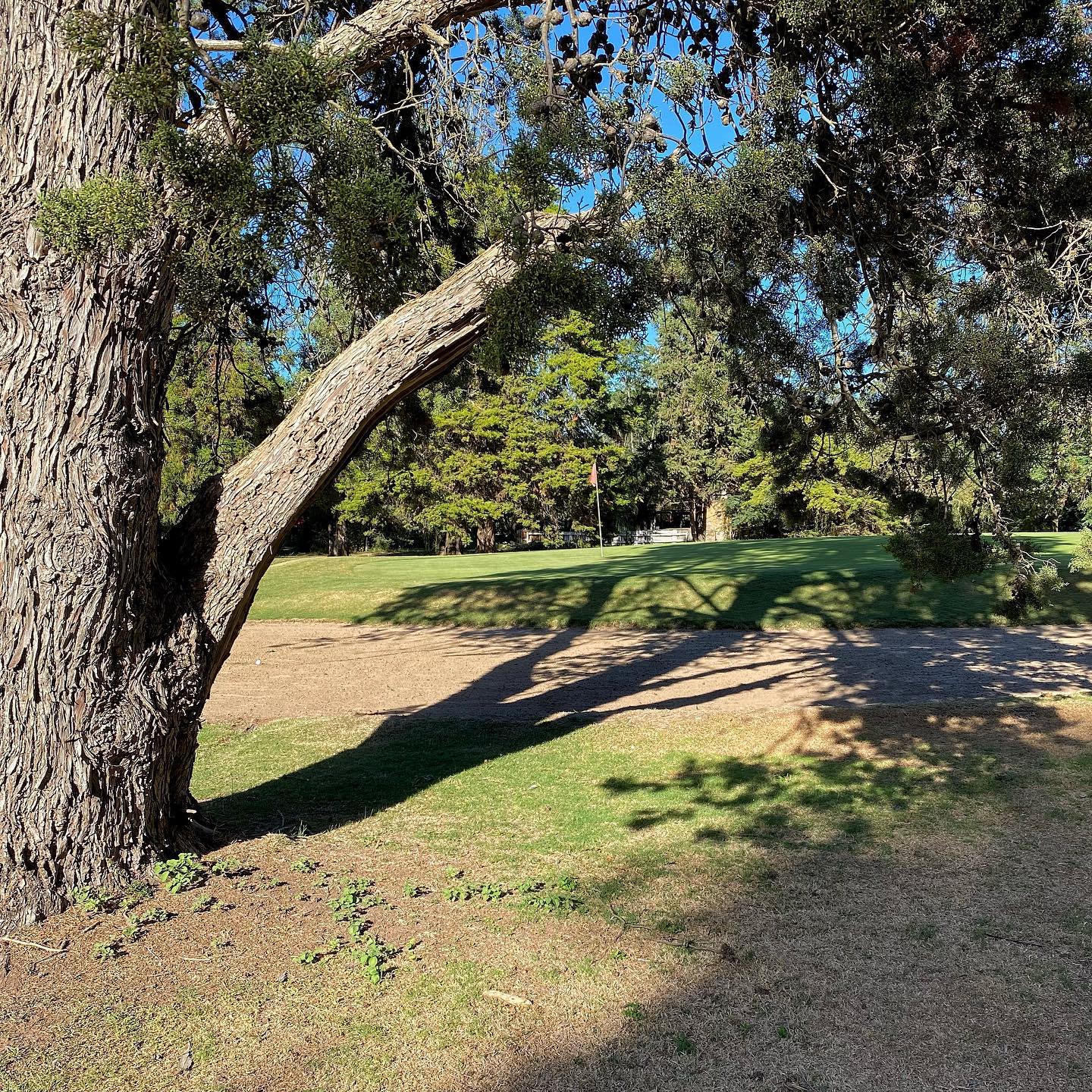 ARECO GOLF S.A.
