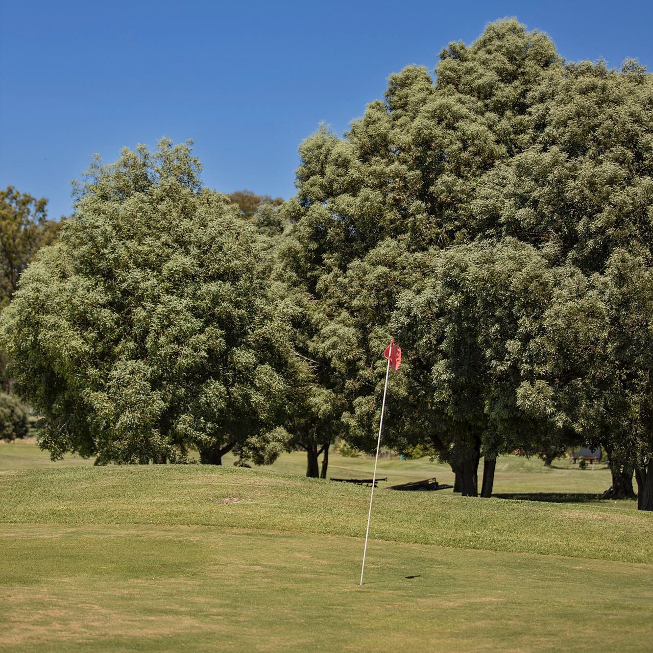 BOLIVAR GOLF CLUB