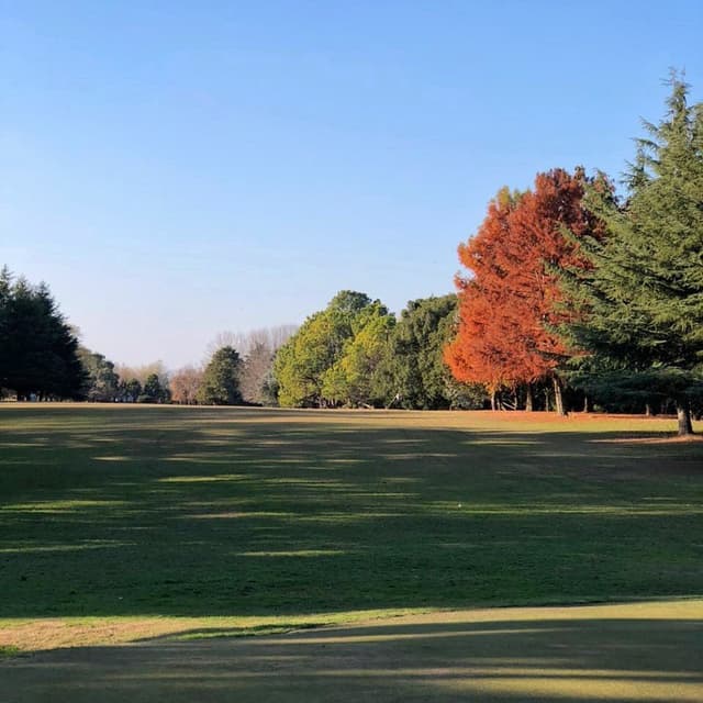 Bragado Golf