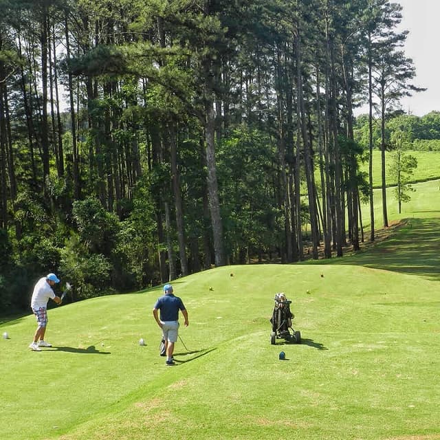 Camellias Golf