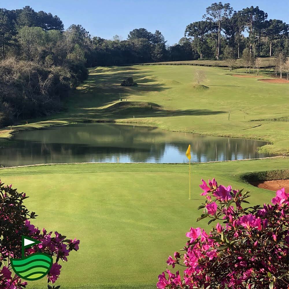 CAMELIAS GOLF