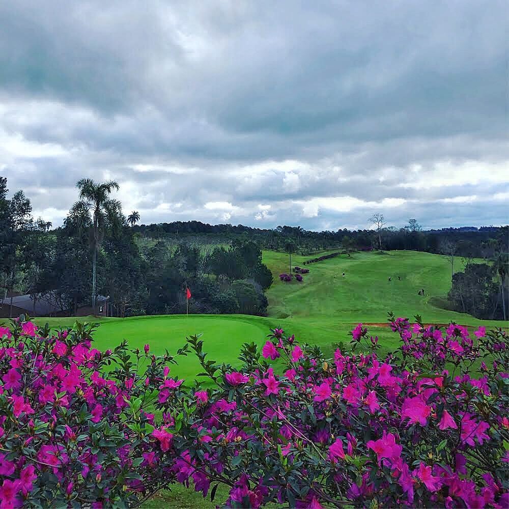 CAMELIAS GOLF