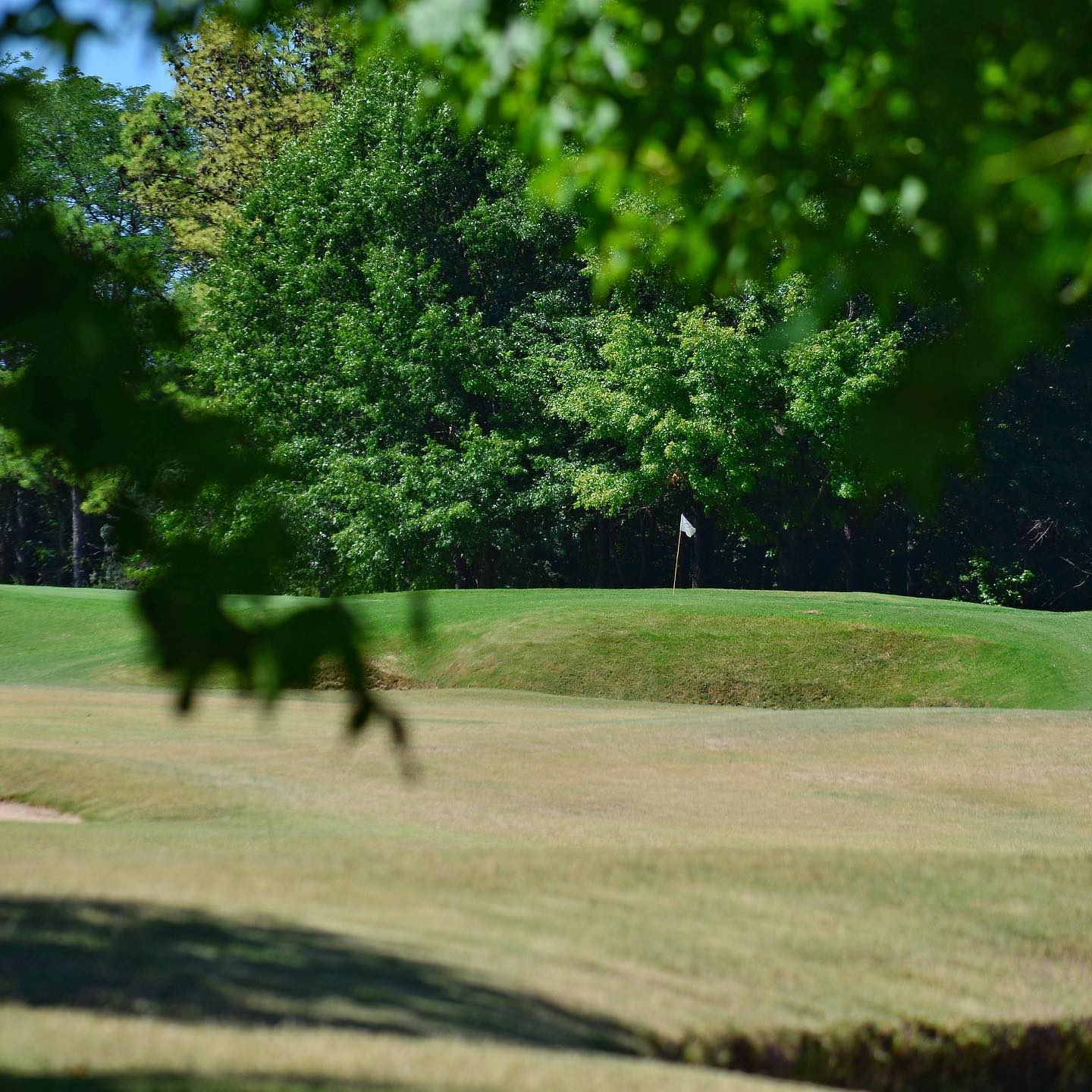 CAMPO DE GOLF LA ORQUIDEA