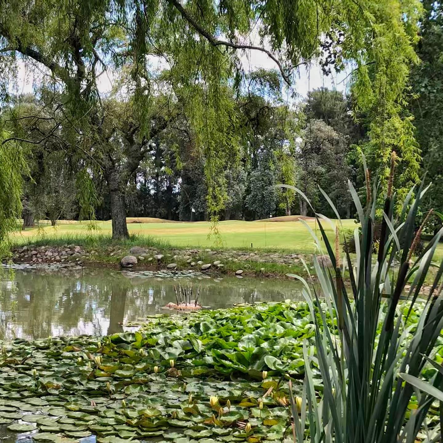 CAMPO DE GOLF LA ORQUIDEA