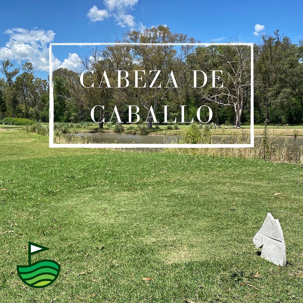 Circulo De La Fuerza Aerea
