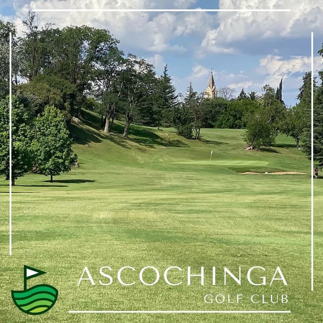 Ascochinga