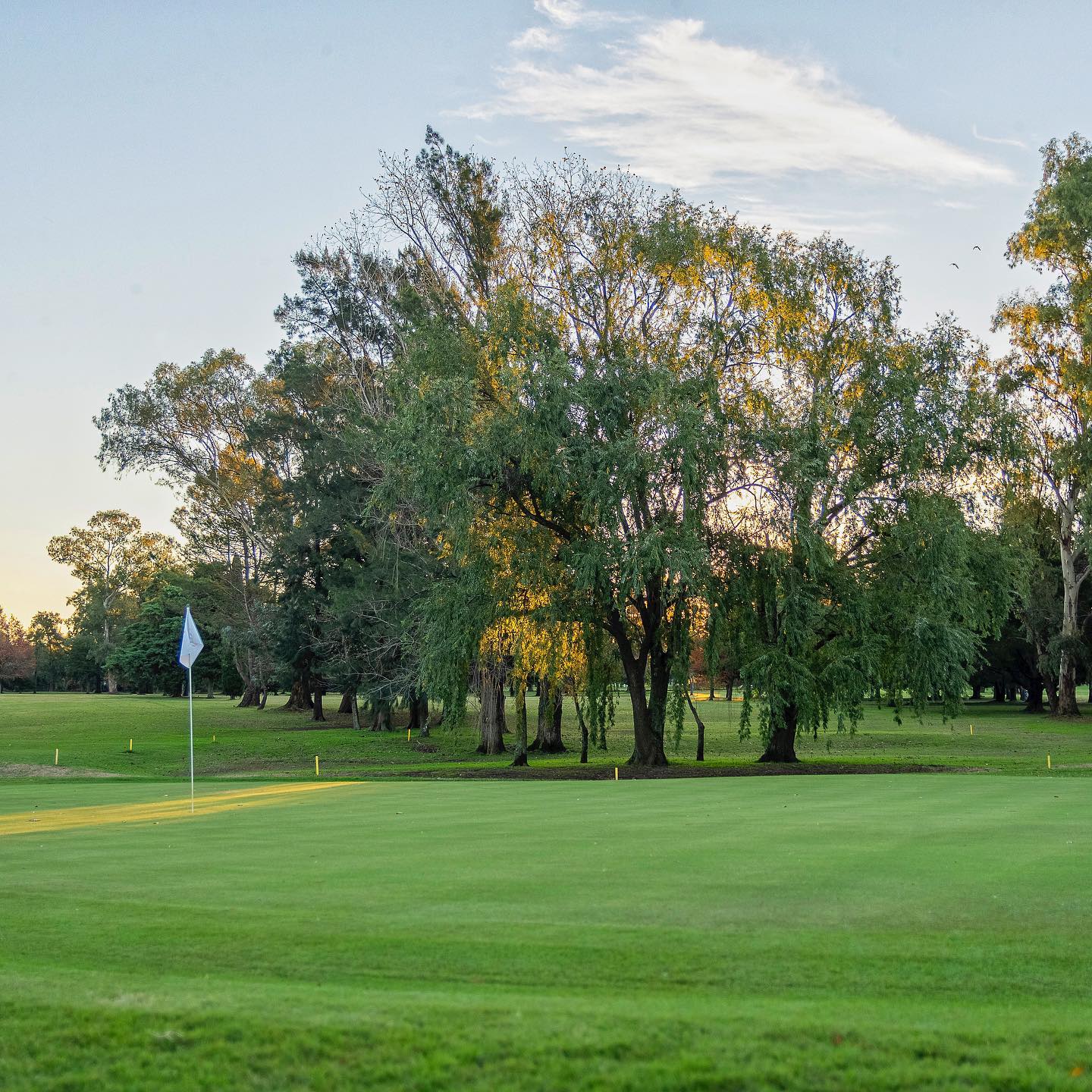 CLUB AT. ESTUDIANTES DE LA PLATA