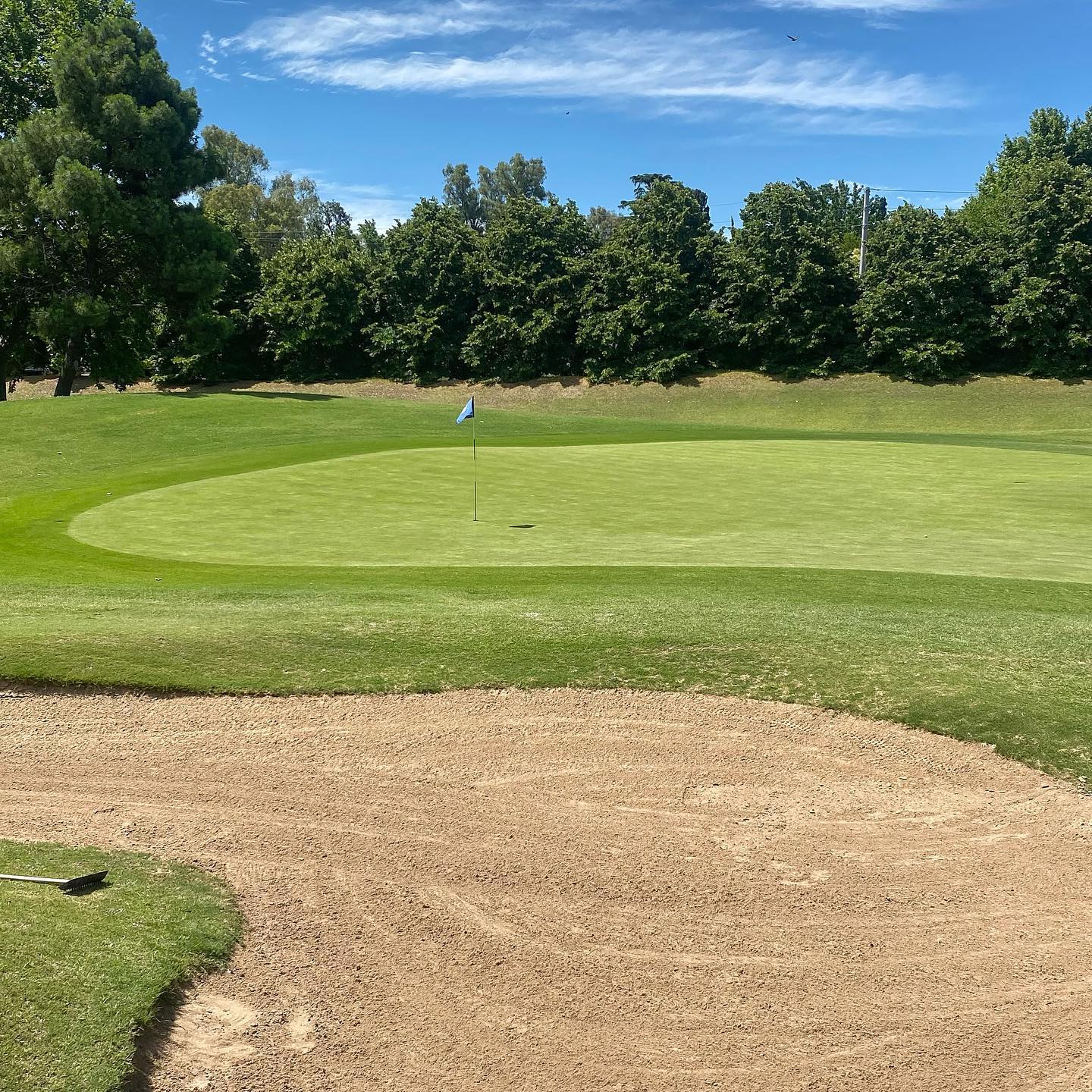 CLUB DE CAMPO LOS PINGÜINOS