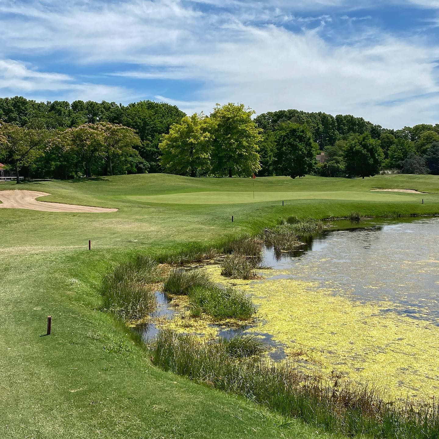 CLUB DE CAMPO LOS PINGÜINOS