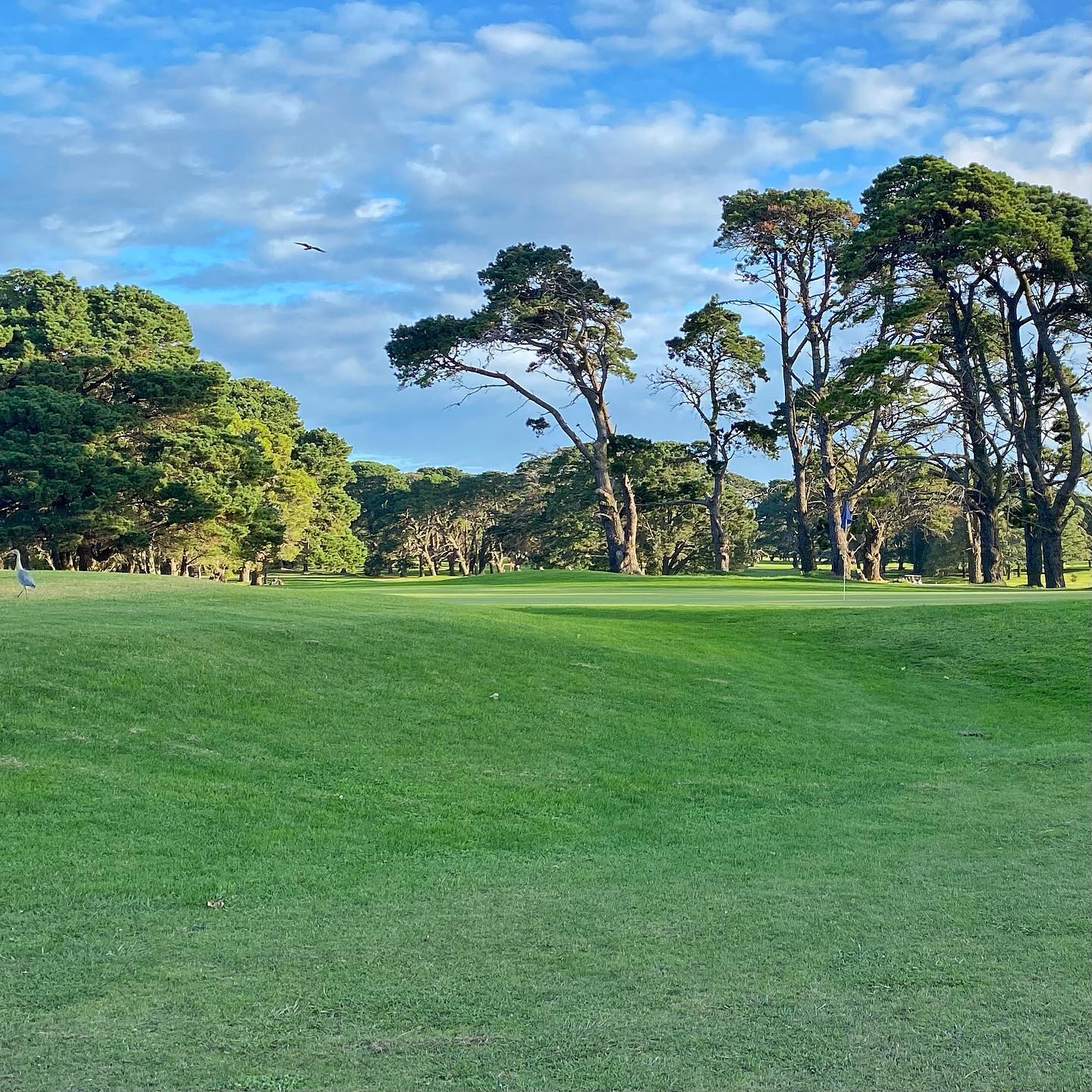 Club Mar del Plata - Acantilados